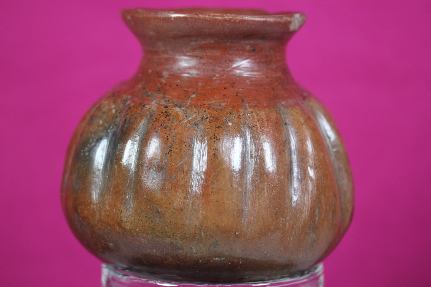 Pre Columbian Artifact Colima 300 BC-300 AD Gadrooned Jar Authentic COA J14