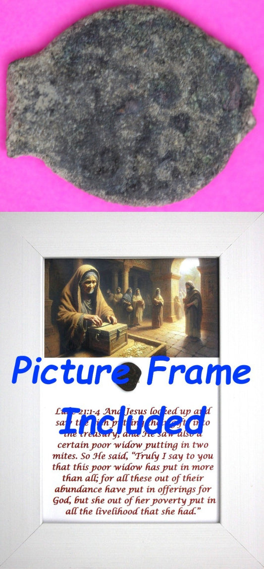 Widows Mite Coin Holy Land Artifact Jesus Christ Lifetime Display Frame COA 302