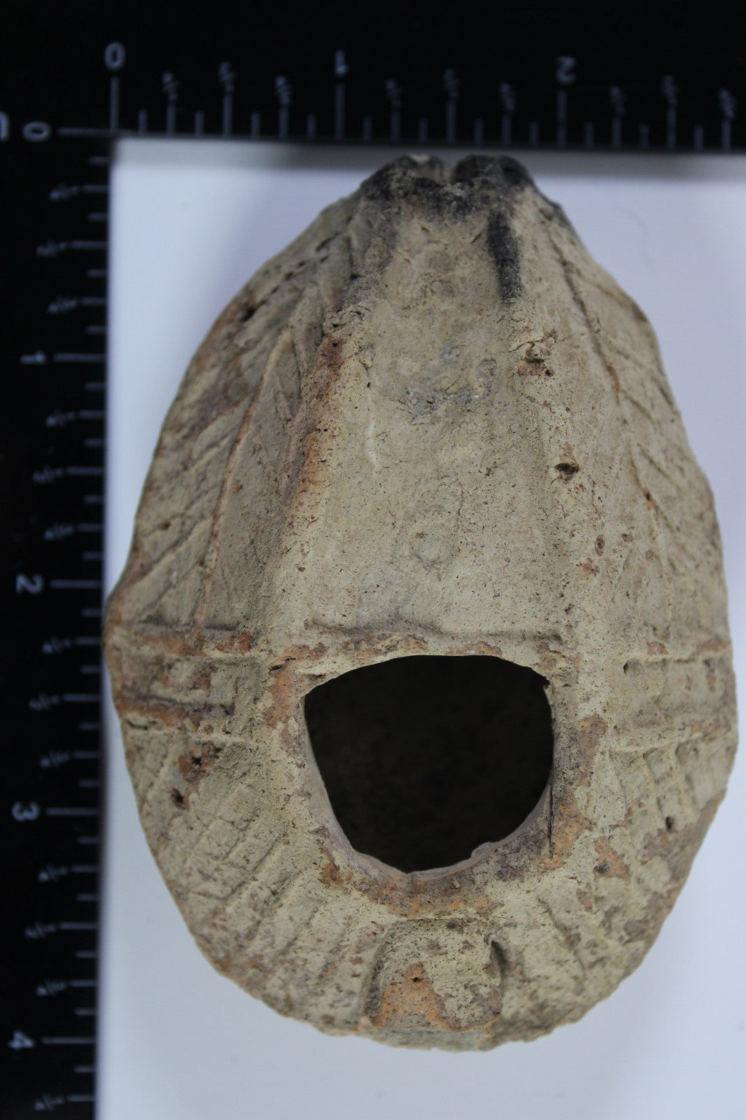 Ancient Holy Land Oil Lamp Artifact Jesus Christ Home Israel 300-600 AD COA 105