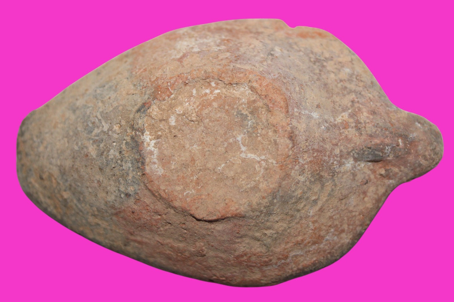 Ancient Holy Land Oil Lamp Artifact From Jesus Christ Home Land 100-500AD COA 54