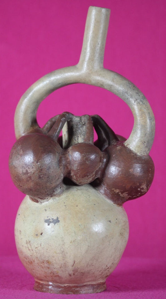 Authentic Pre Columbian Artifact Fruit Vessel Moche Ex Arte Primitivo COA T52