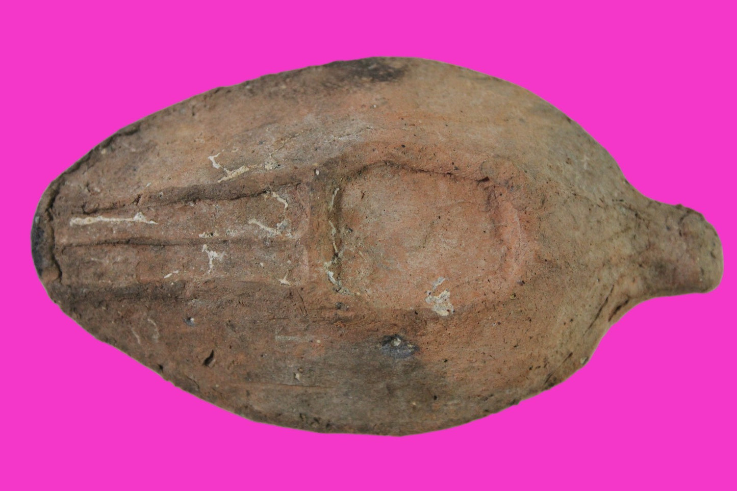 Ancient Holy Land Oil Lamp Artifact Jesus Christ Home Israel 300-600 AD COA 83