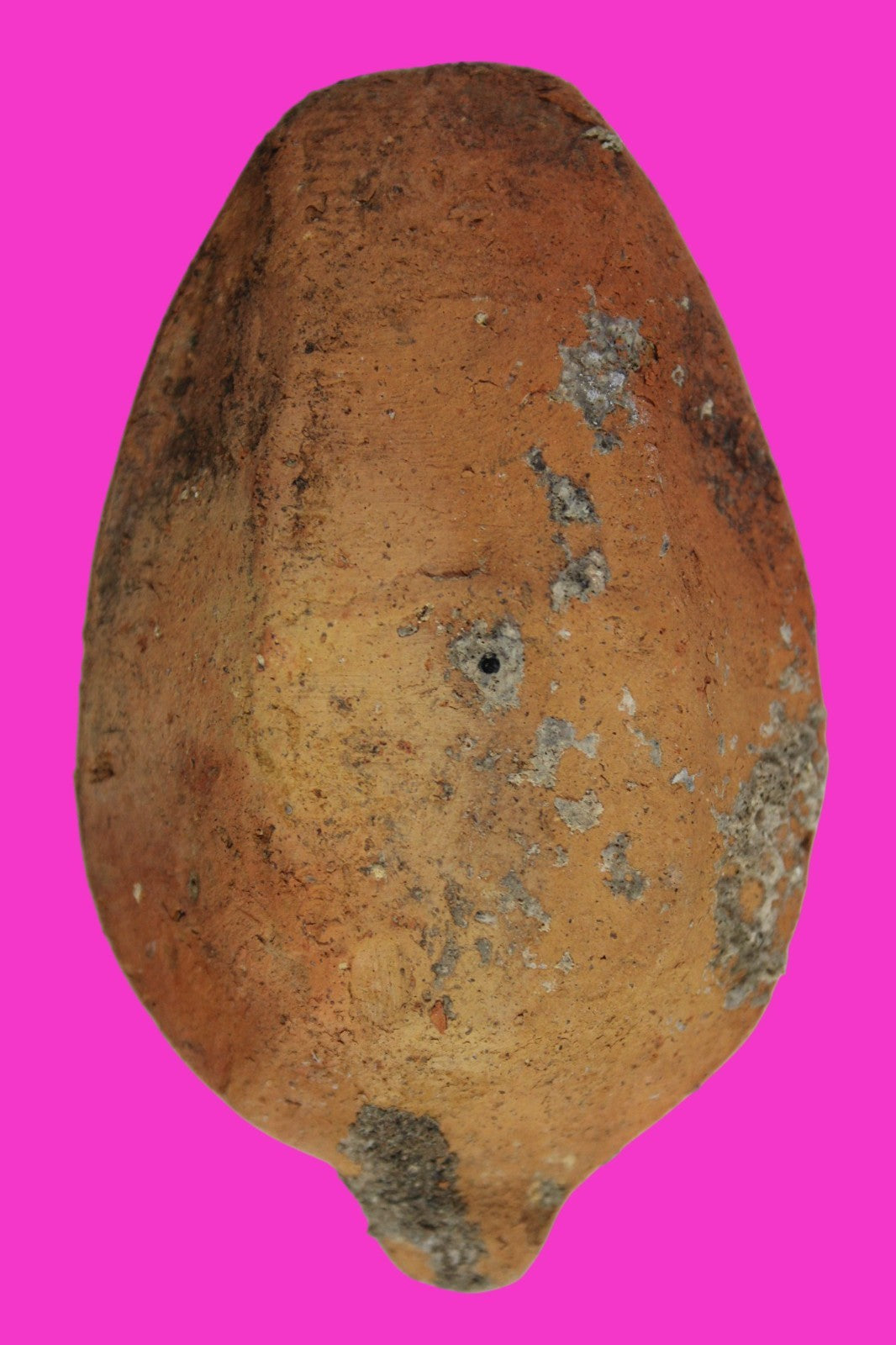 Ancient Holy Land Oil Lamp Artifact 2 Hidden Christian Crosses 300-600AD COA 102