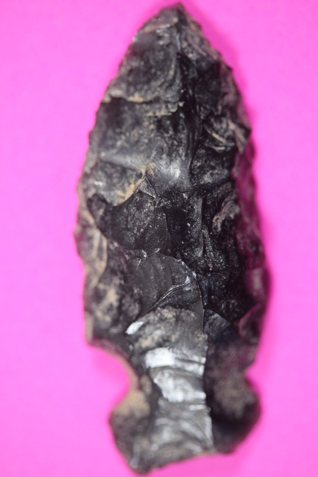 Pre Columbian Artifact Authentic Aztec Arrowhead Battle of Mexico City COA 16