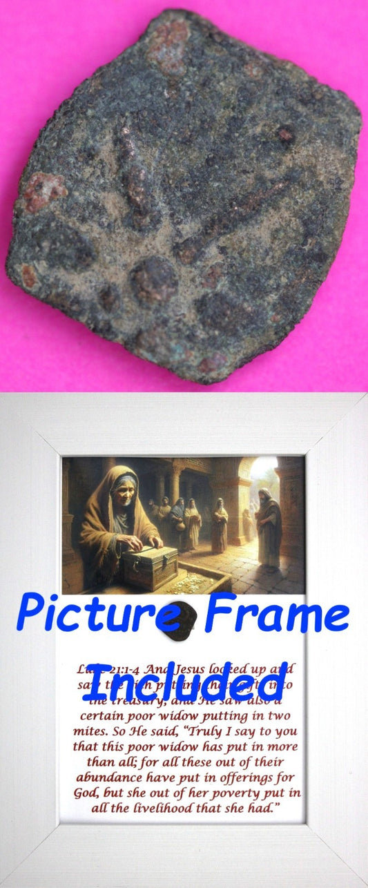 Widows Mite Coin Holy Land Artifact Jesus Christ Lifetime Display Frame COA 319