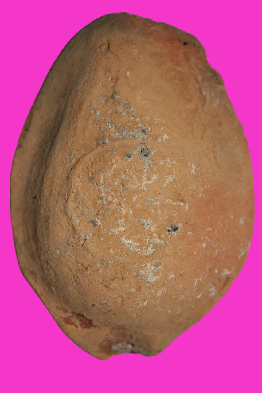 Ancient Holy Land Oil Lamp Artifact Jesus Christ Homeland 100BC-400AD COA 30