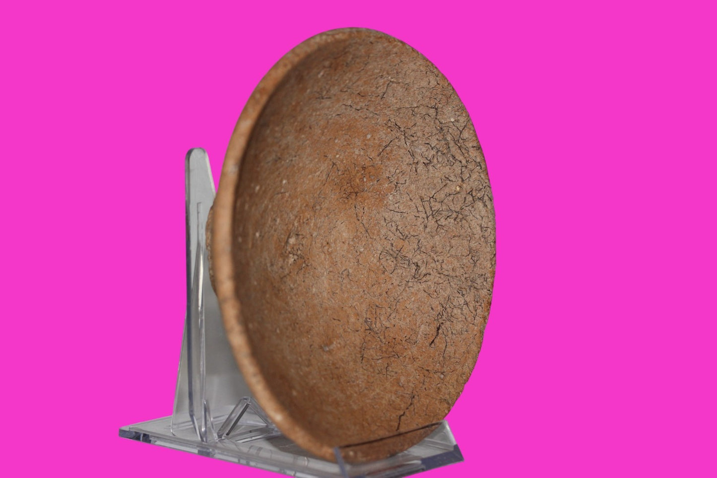 Holy Land Artifact Authentic 4000 Year Old Bowl Time of Abraham 2000 BC COA J125