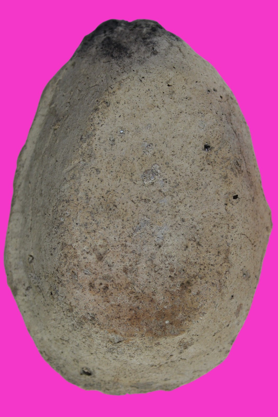 Ancient Holy Land Oil Lamp Artifact Jesus Christ Home Israel 300-600 AD COA 105