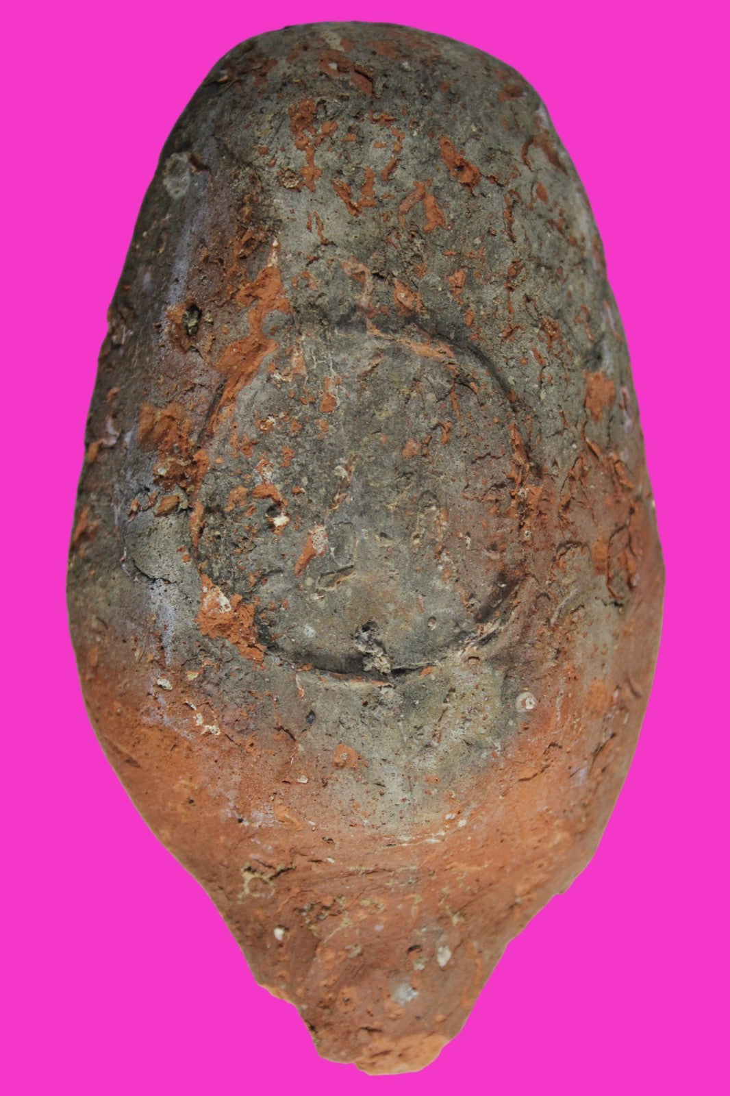 Ancient Holy Land Oil Lamp Artifact Jesus Christ Home 300-600 AD Israel COA 101