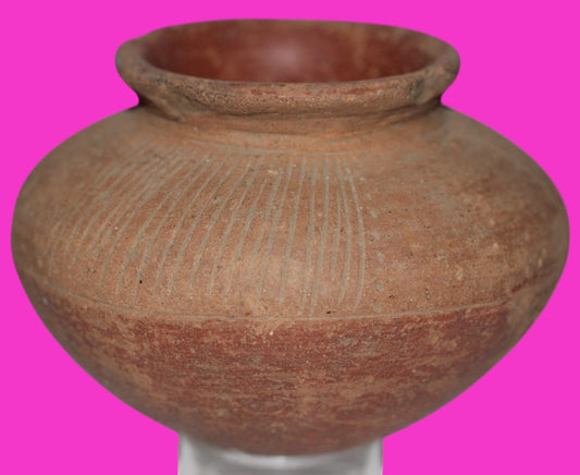 Pre Columbian Artifact Authentic Small Olla Colima Mexico 200 BC-200 AD COA J101