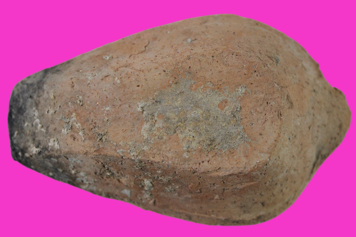 Ancient Holy Land Oil Lamp Artifact Jesus Christ Home Israel 300-600 AD COA 85