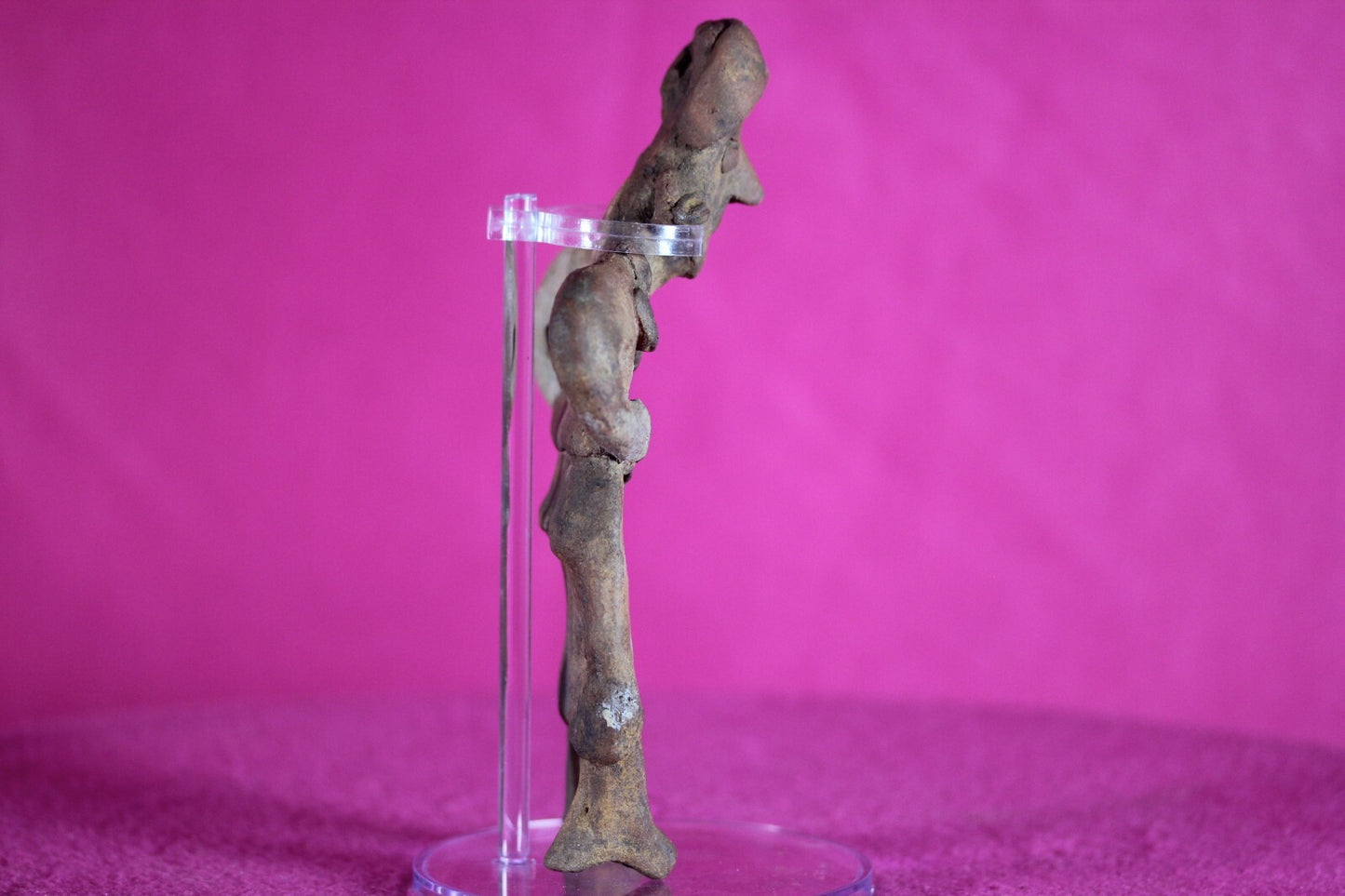 Pre Columbian Authentic Artifact Rare Grandma Tomb Figure Colima Mexico COA 142