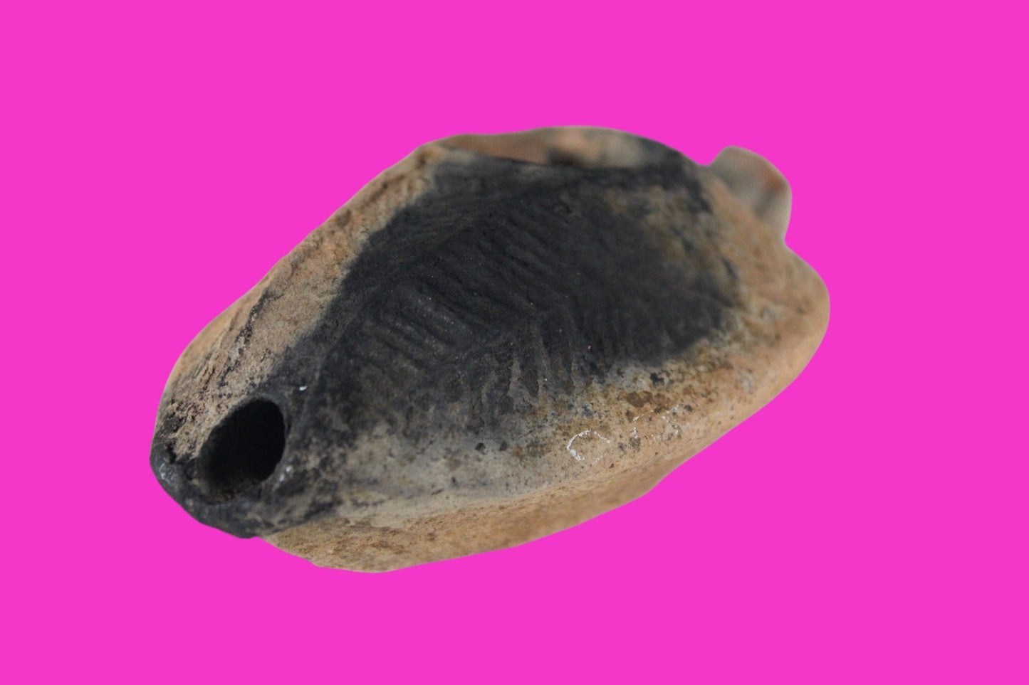 Ancient Holy Land Oil Lamp Artifact Jesus Christ Home 300-600 AD Israel COA 94