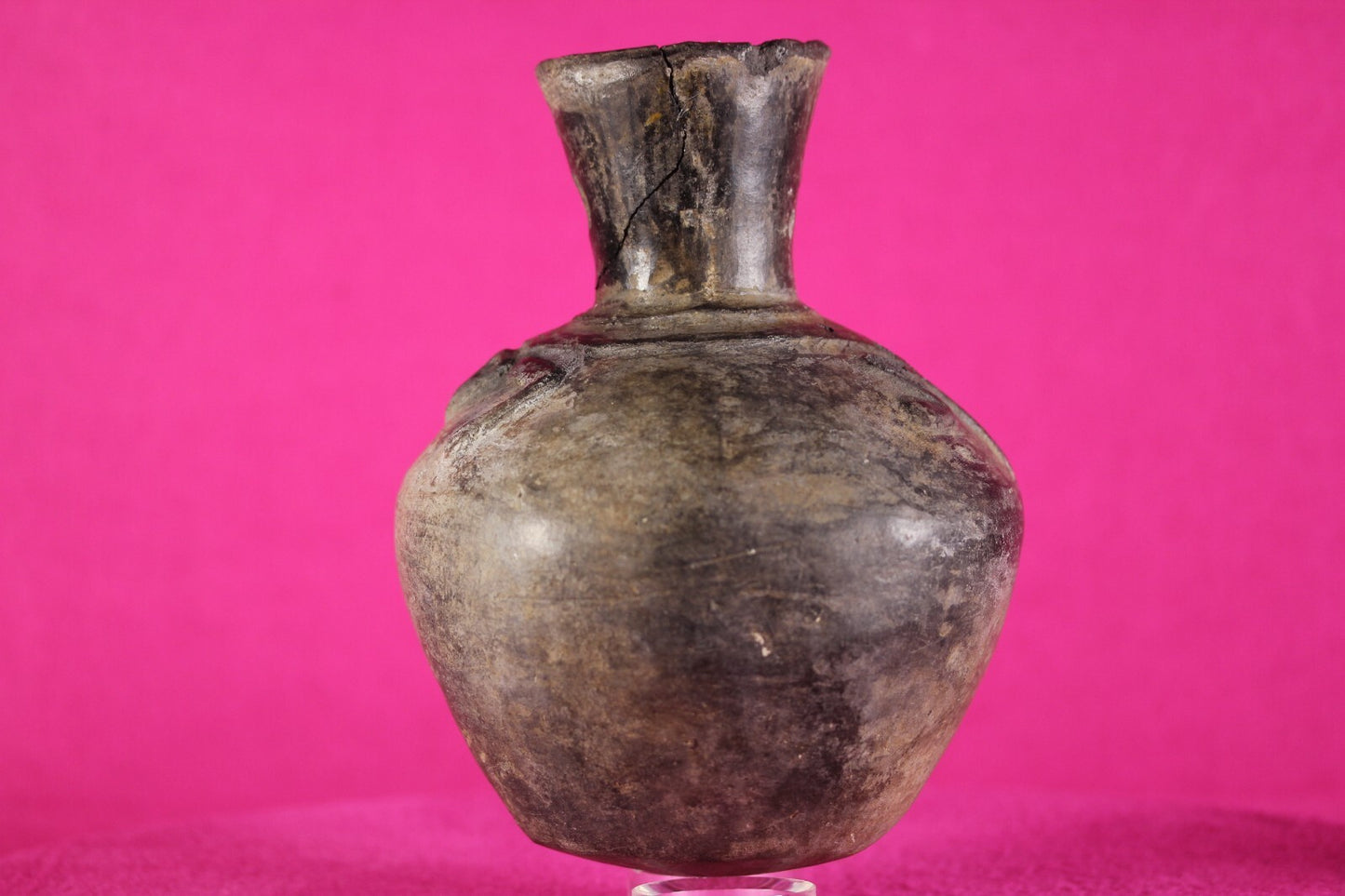 Pre Columbian Artifact Authentic Moche Frog Pottery Jar 100-800 AD Peru COA J60