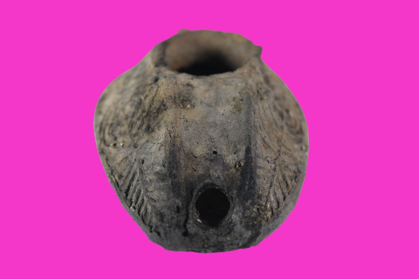 Ancient Holy Land Oil Lamp Artifact Jesus Christ Home Israel 300-600 AD COA 104
