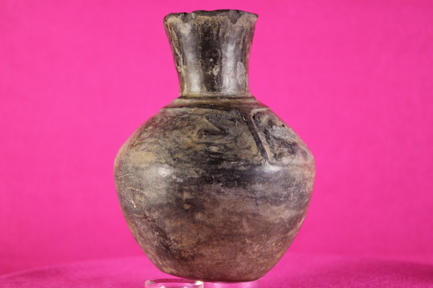 Pre Columbian Artifact Authentic Moche Frog Pottery Jar 100-800 AD Peru COA J60