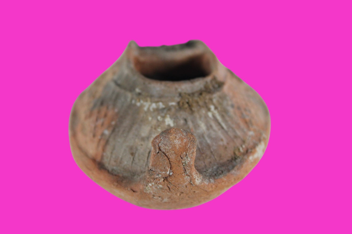 Ancient Holy Land Oil Lamp Artifact Jesus Christ Home 300-600 AD Israel COA 110
