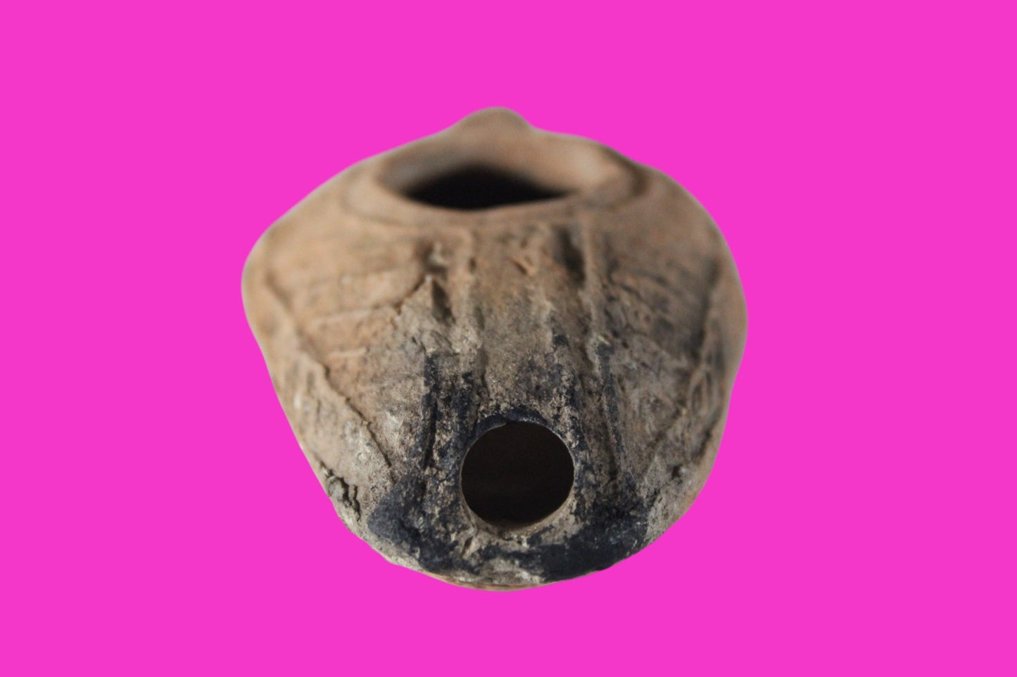 Ancient Holy Land Oil Lamp Artifact Jesus Christ Home Israel 300-600 AD COA 74