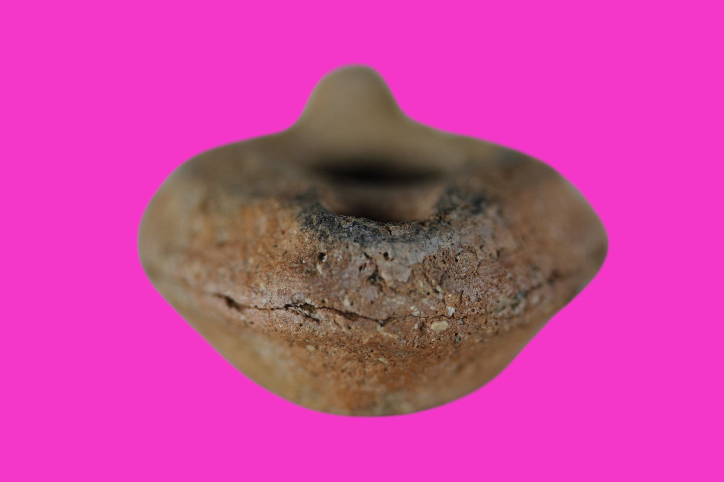 Ancient Holy Land Oil Lamp Artifact Jesus Christ Homeland 100 - 400 AD COA L11