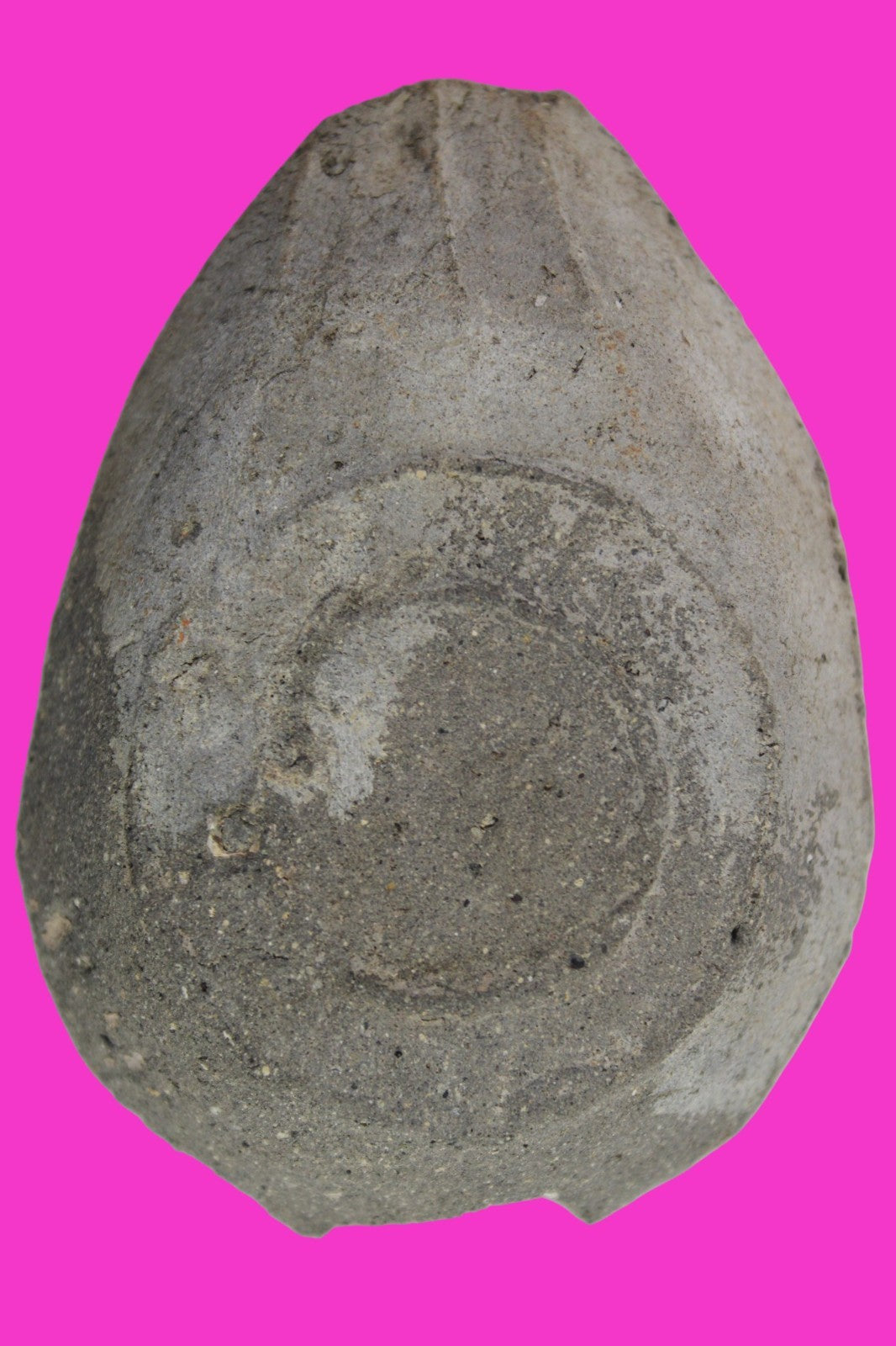 Ancient Holy Land Oil Lamp Artifact Jesus Christ Home Israel 300-600 AD COA 106