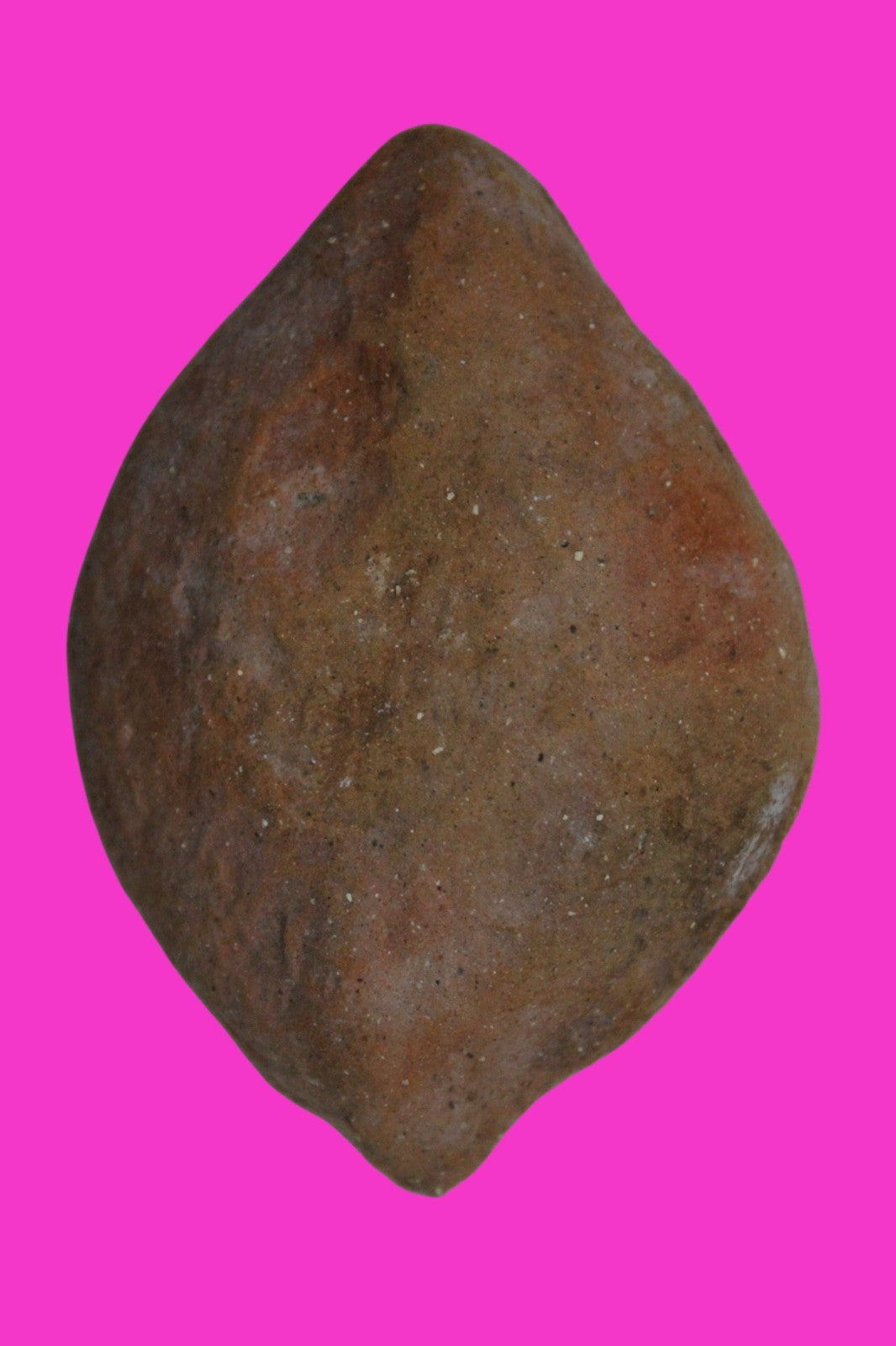 Ancient Holy Land Oil Lamp Artifact Jesus Christ Homeland 100BC-200AD COA 46