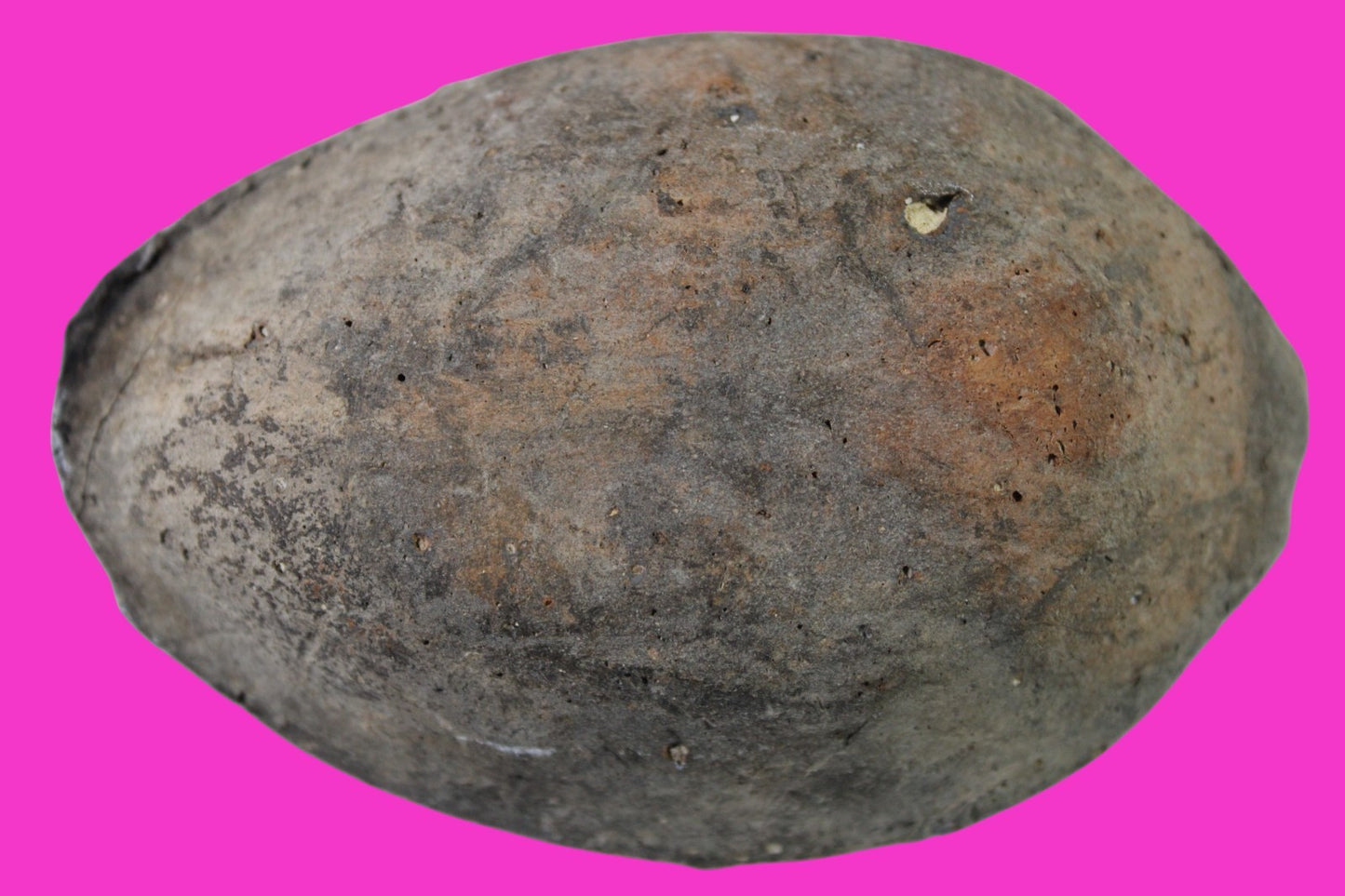 Ancient Holy Land Oil Lamp Artifact Jesus Christ Home Israel 300-600 AD COA 84