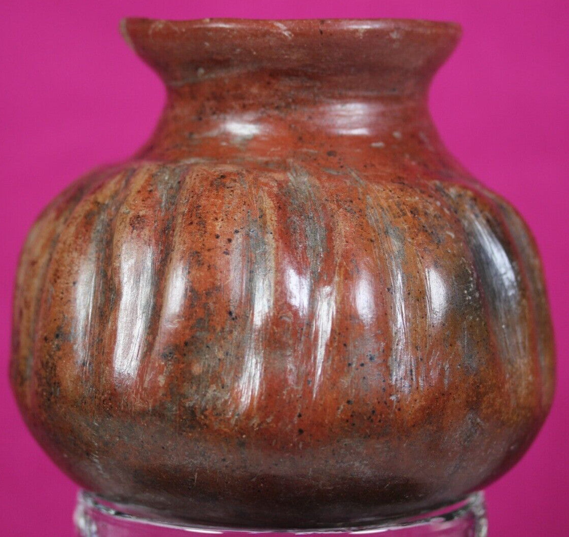 Pre Columbian Artifact Colima 300 BC-300 AD Gadrooned Jar Authentic COA J14