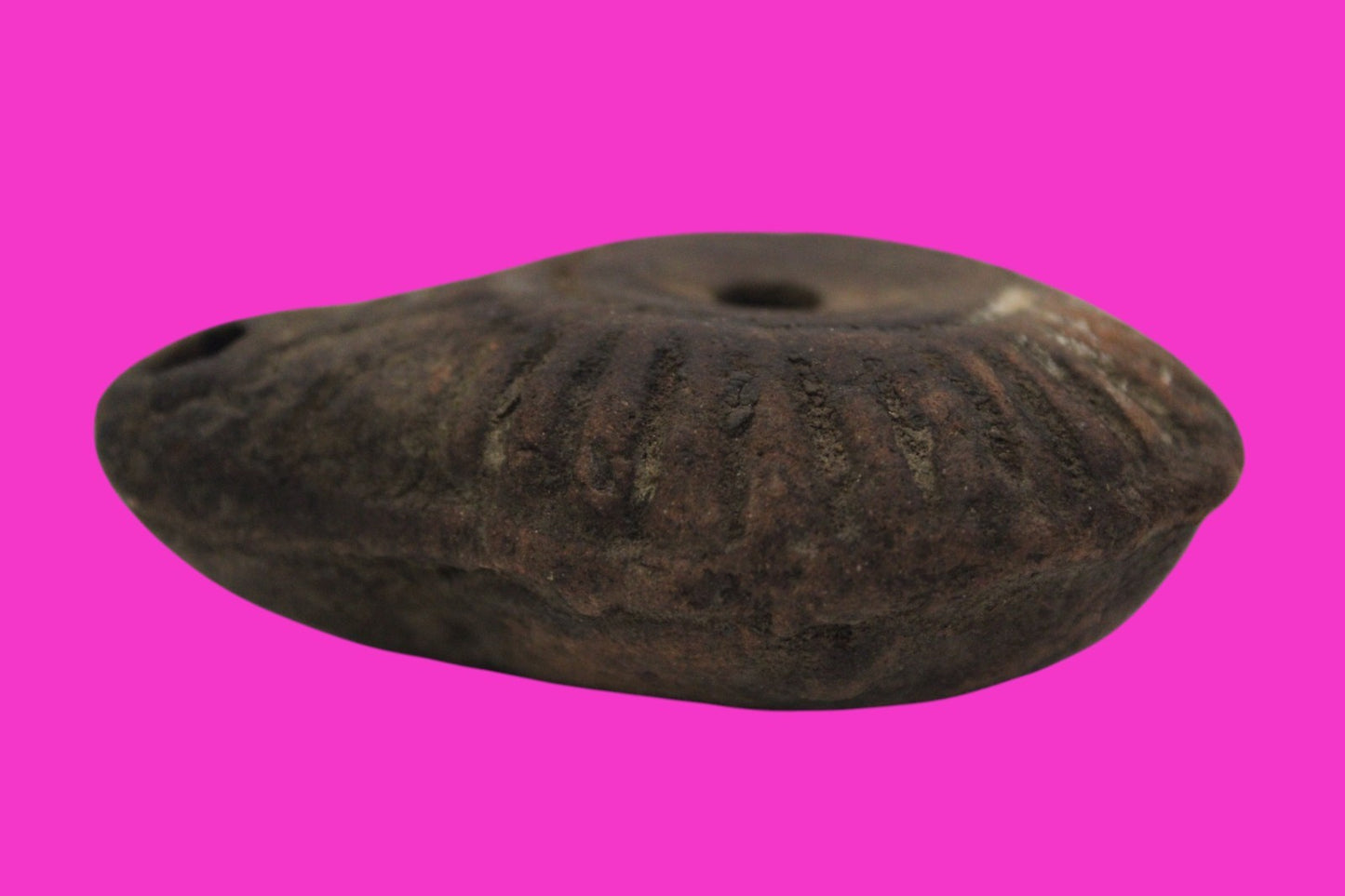Ancient Holy Land Oil Lamp Artifact From Jesus Christ Home Land 100-500AD COA 60