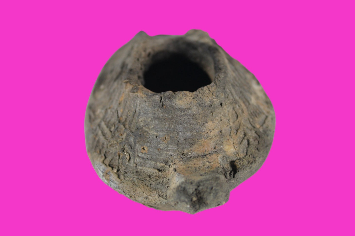 Ancient Holy Land Oil Lamp Artifact Jesus Christ Home Israel 300-600 AD COA 104