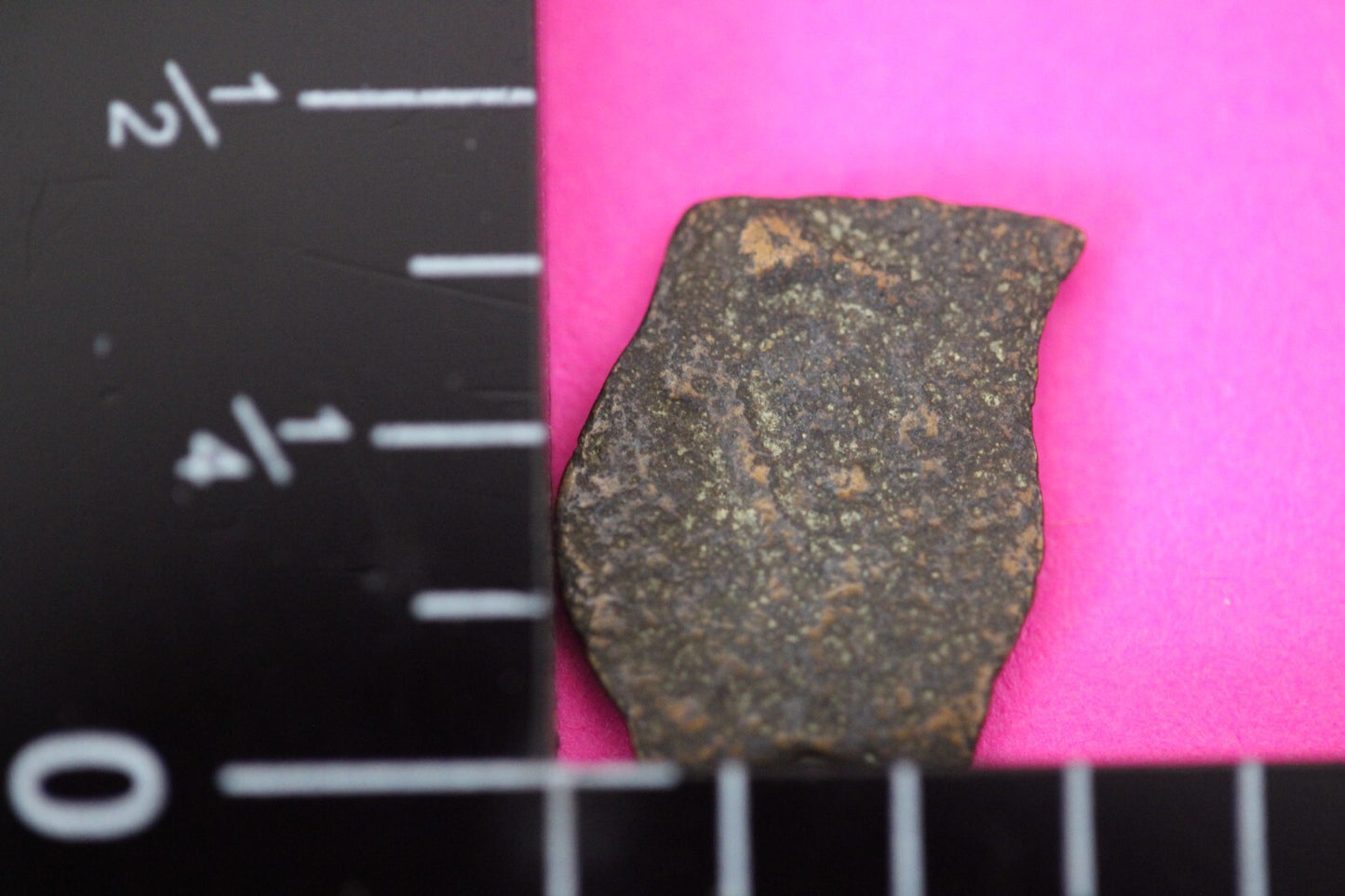 Authentic Jesus Christ Era Holy Land Widow's Mite Artifact 50 BC - 50 AD COA 022