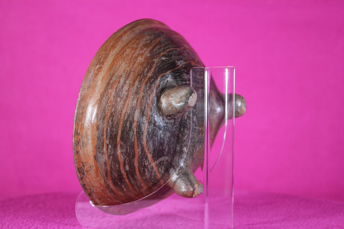 Authentic Pre Columbian Artifact Michoacan Tripod Bowl Ex Arte Primitivo COA T26