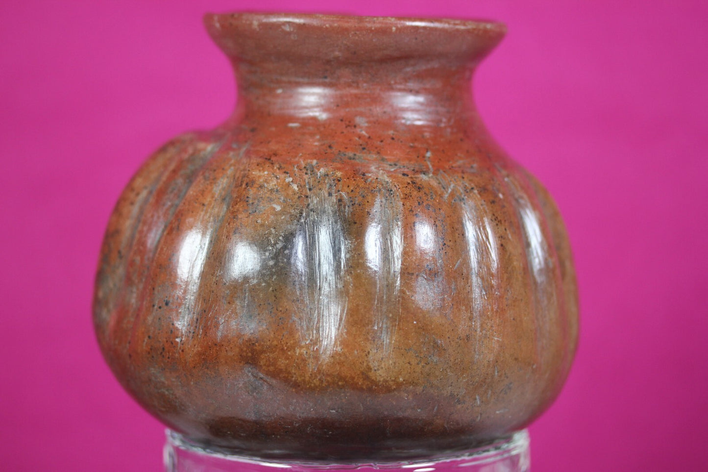 Pre Columbian Artifact Colima 300 BC-300 AD Gadrooned Jar Authentic COA J14