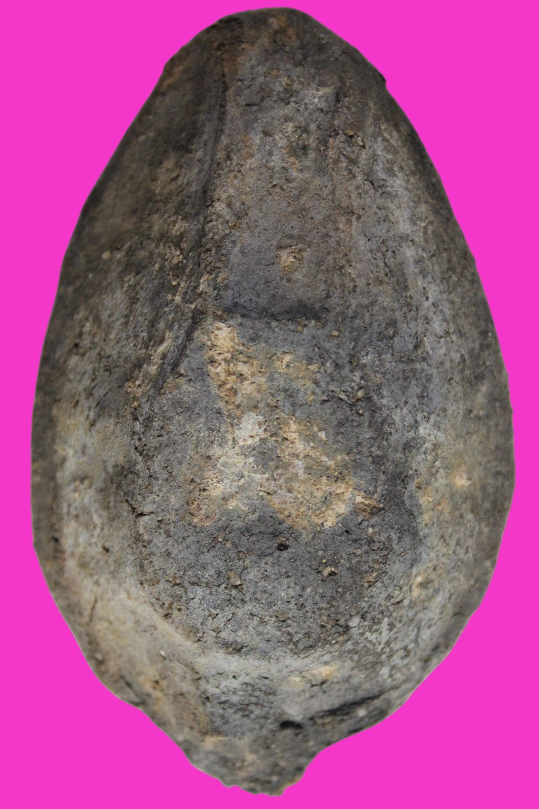 Ancient Holy Land Oil Lamp Artifact Jesus Christ Home Israel 300-600 AD COA 90