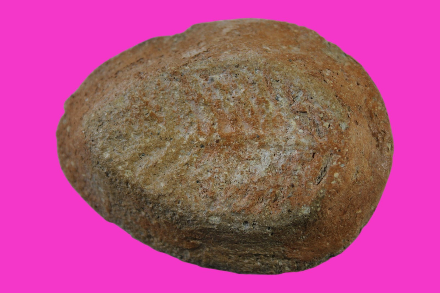 Ancient Holy Land Oil Lamp Artifact Jesus Christ Homeland 100 - 400 AD COA L11