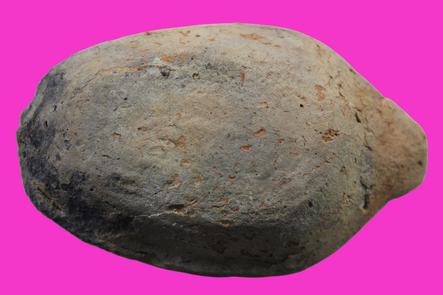 Ancient Holy Land Oil Lamp Artifact Jesus Christ Home Israel 300-600 AD COA 70