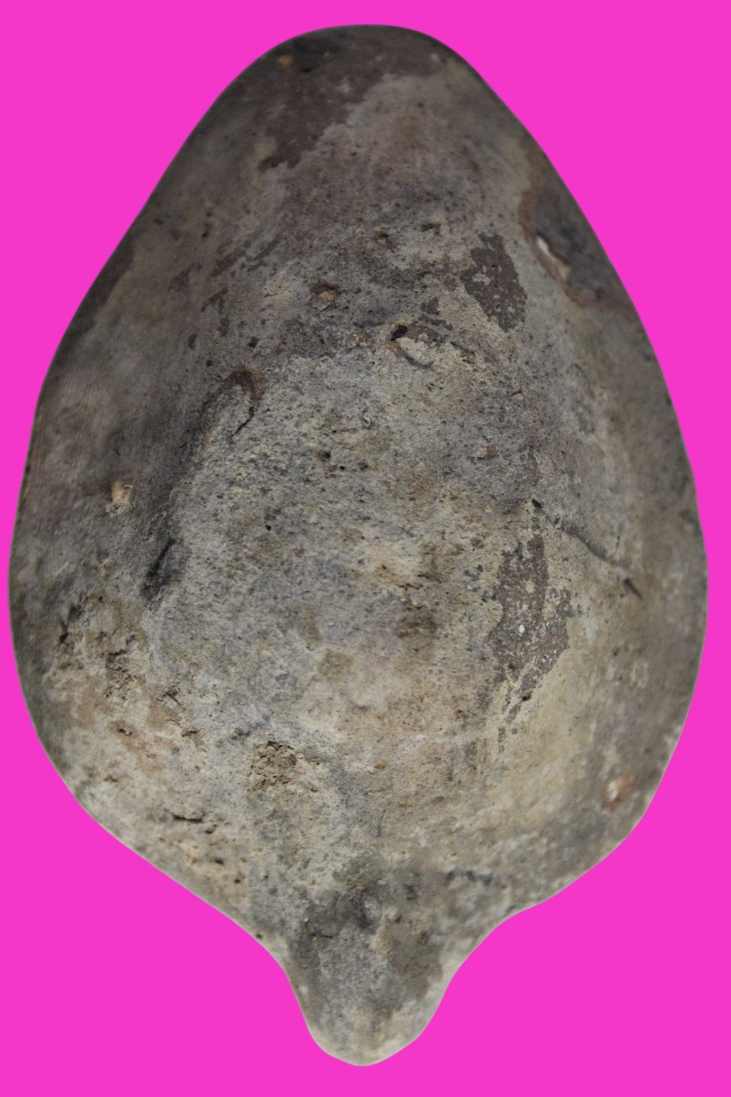 Ancient Holy Land Oil Lamp Artifact Jesus Christ Home Israel 300-600 AD COA 92