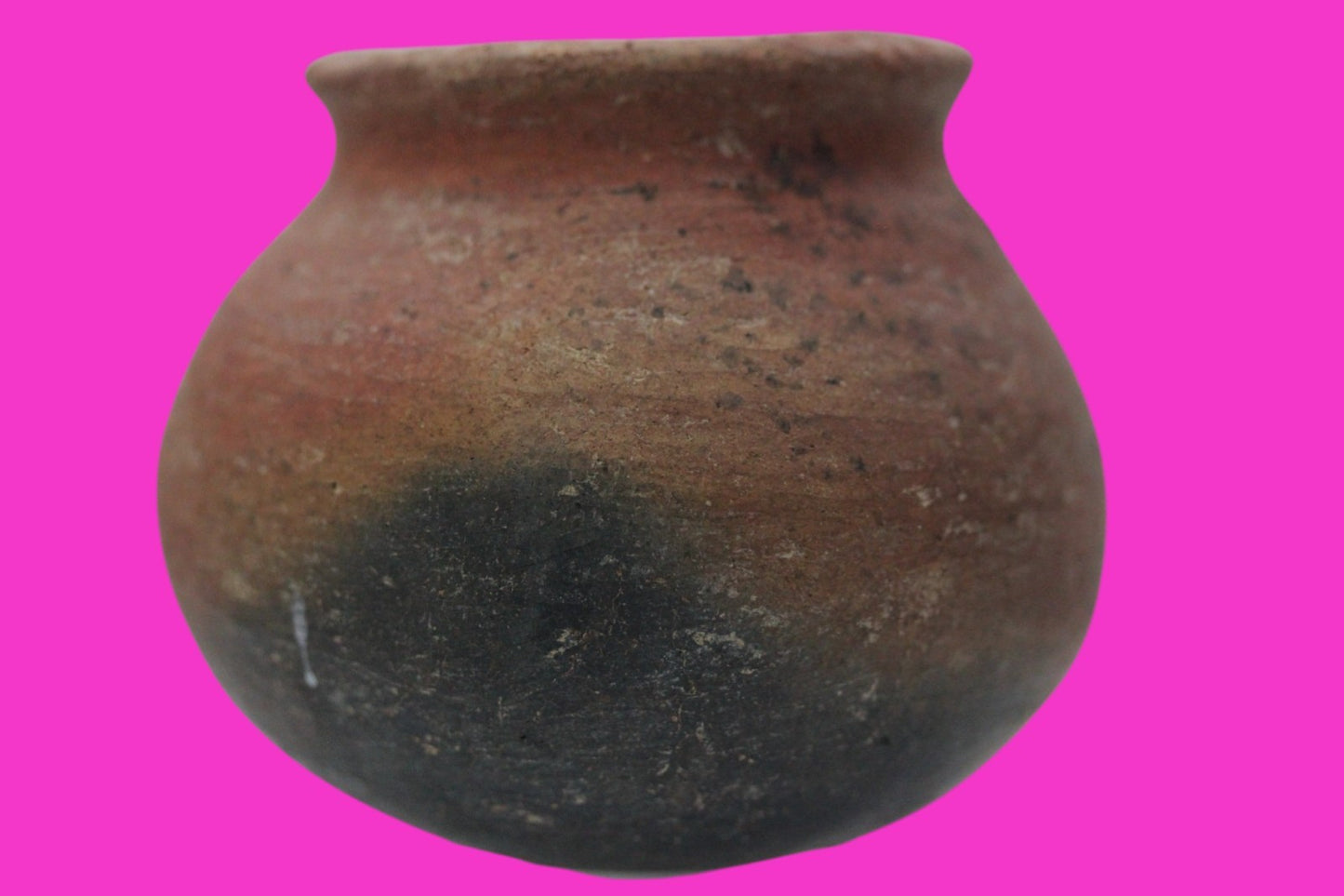 Pre Columbian Authentic Artifact Colima Cooking Pot Mexico 200BC - 200AD COA J14