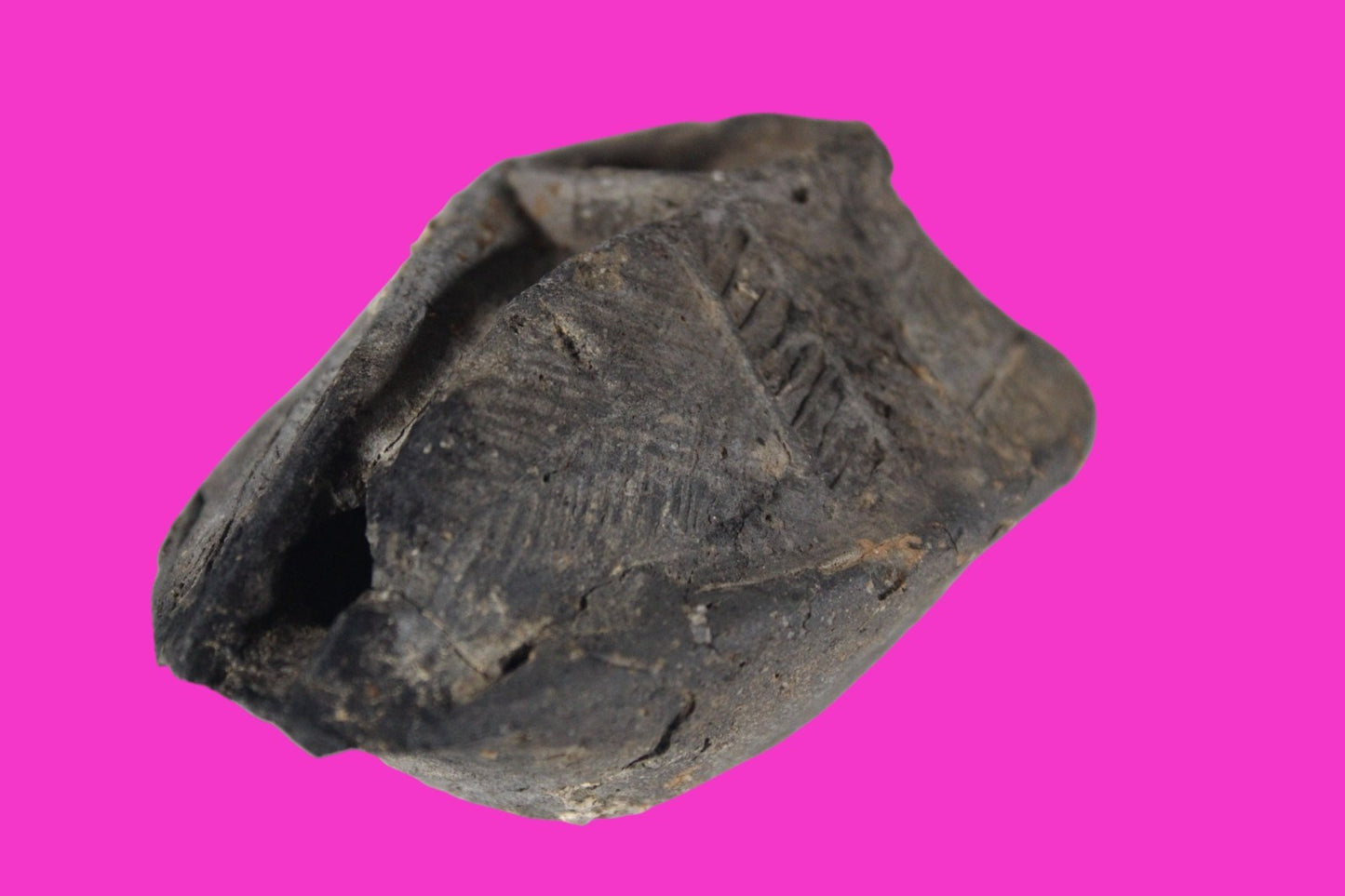 Ancient Holy Land Oil Lamp Artifact Jesus Christ Home 300-600 AD Israel COA 95