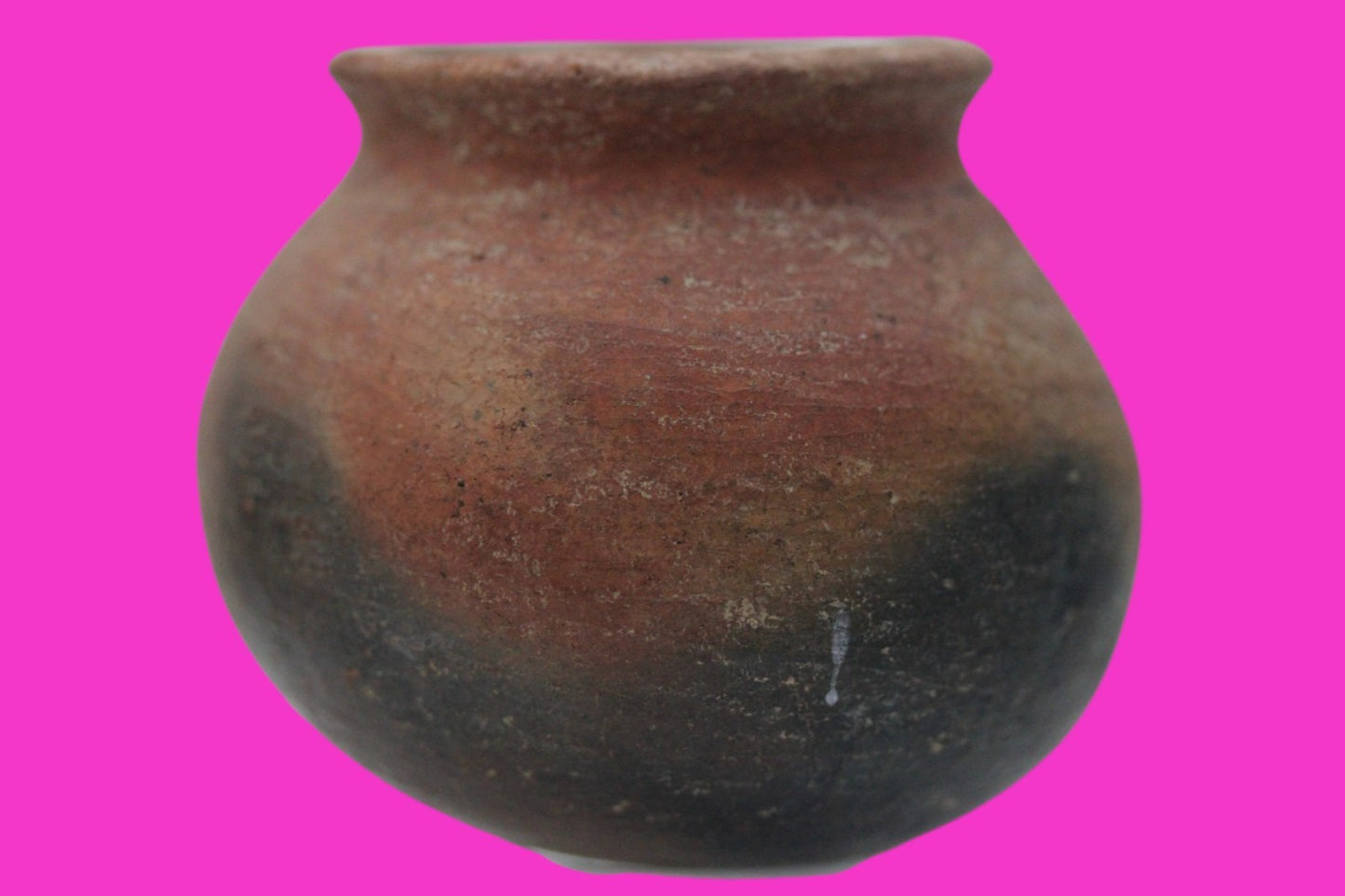 Pre Columbian Authentic Artifact Colima Cooking Pot Mexico 200BC - 200AD COA J14