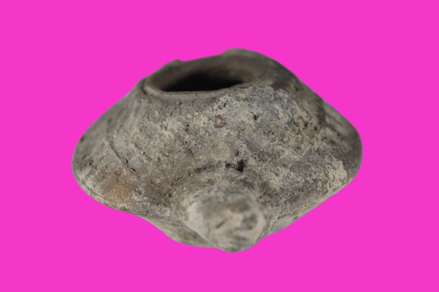 Ancient Holy Land Oil Lamp Artifact Jesus Christ Home Israel 300-600 AD COA 92