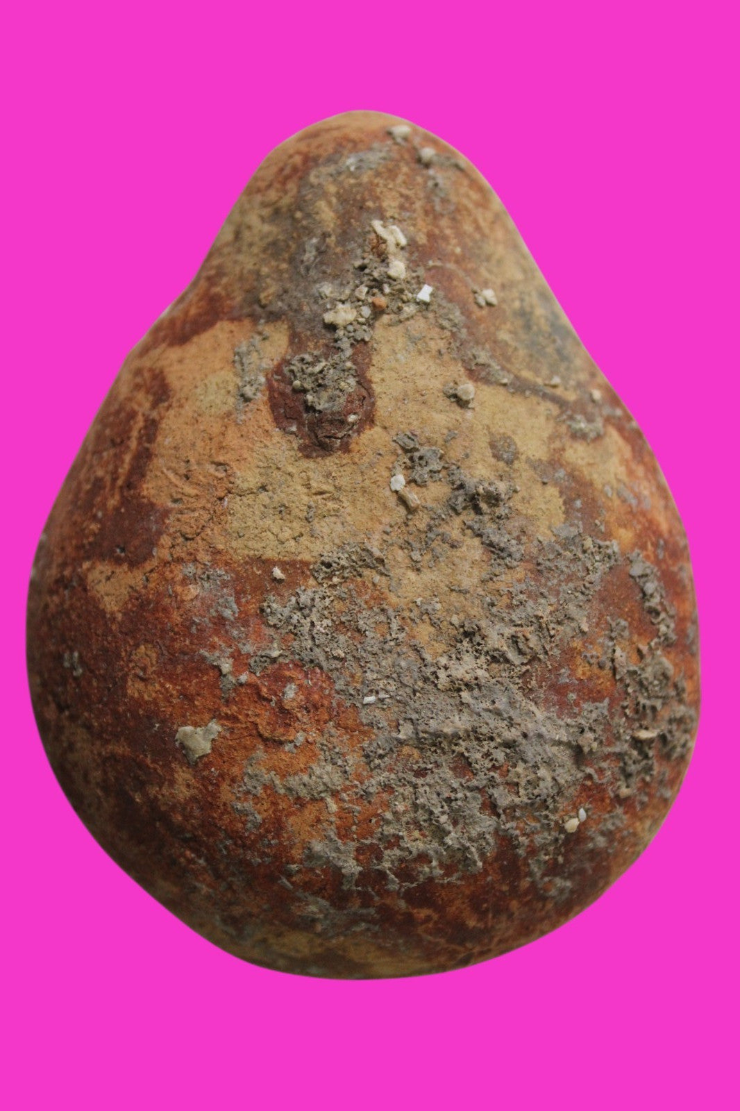 Ancient Holy Land Oil Lamp Artifact Jesus Christ Homeland 100BC-400AD COA 23