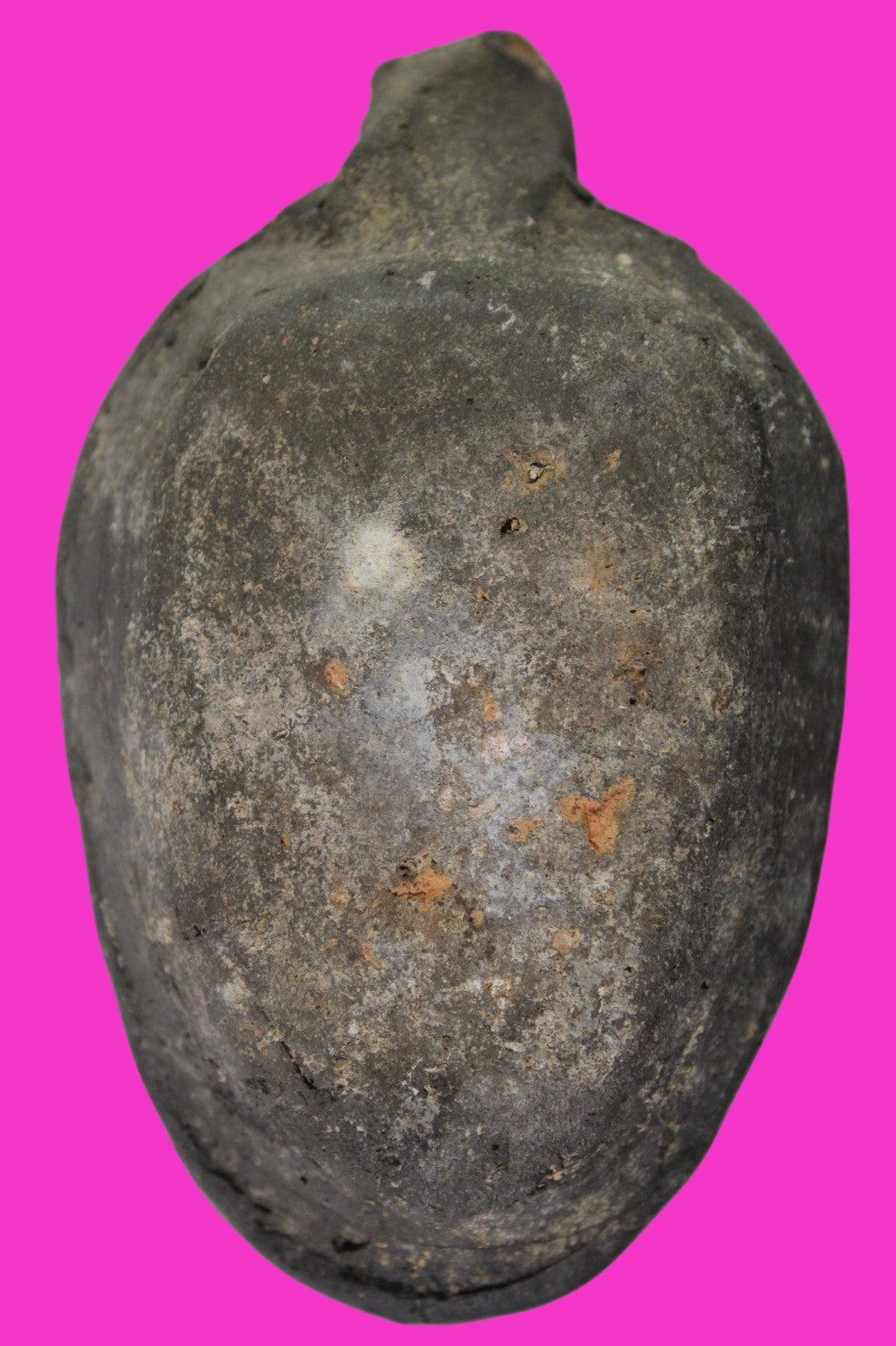 Ancient Holy Land Oil Lamp Artifact Jesus Christ Home Israel 300-600 AD COA 75