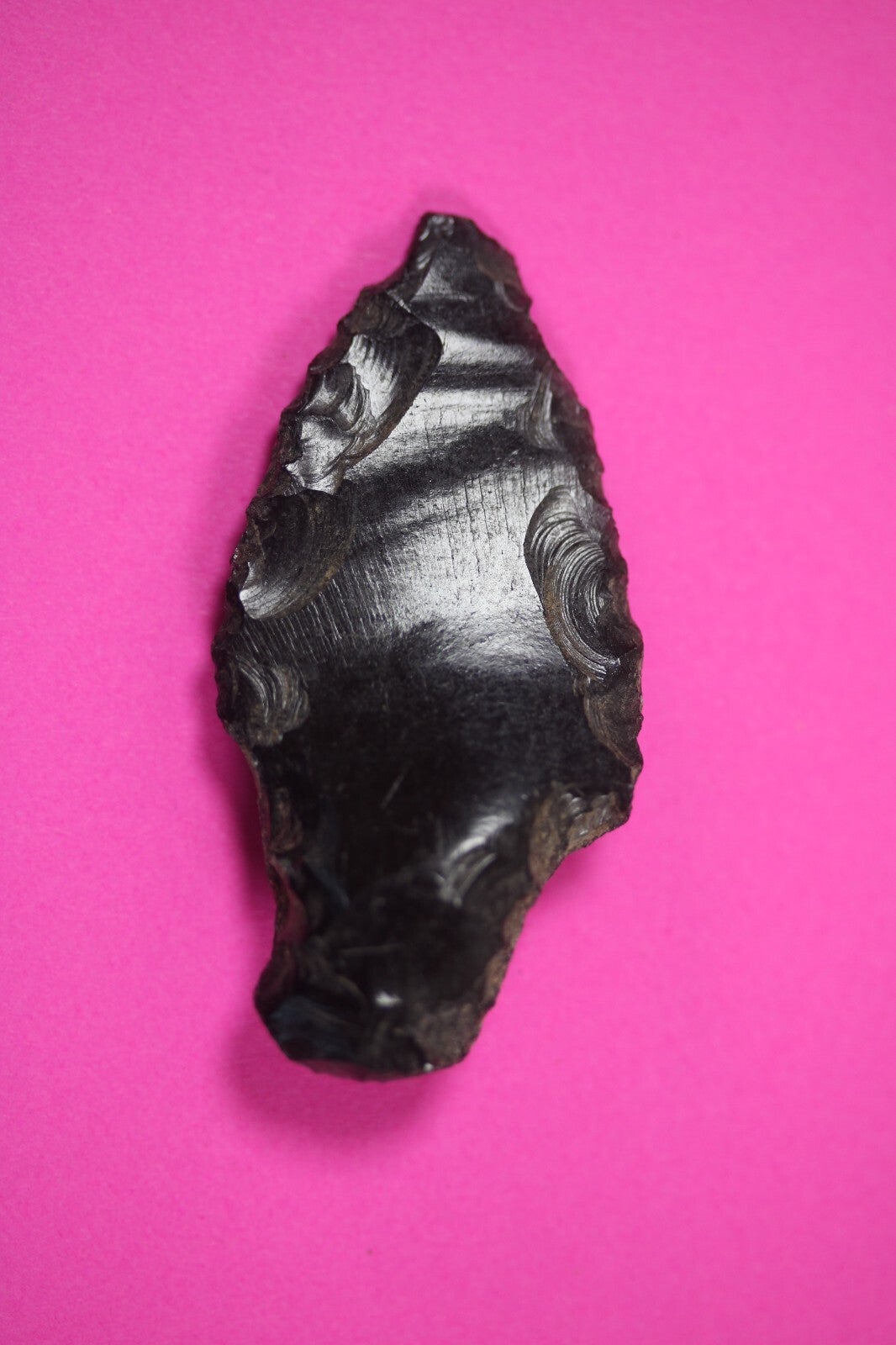 Authentic Pre Columbian Artifact Aztec Arrowhead Battle of Mexico City COA 50