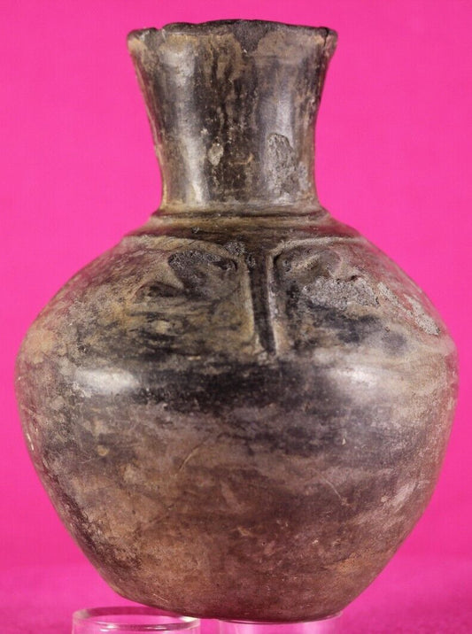 Authentic Pre Columbian Artifact Moche Frog Pottery Jar 100-800 AD Peru COA J60