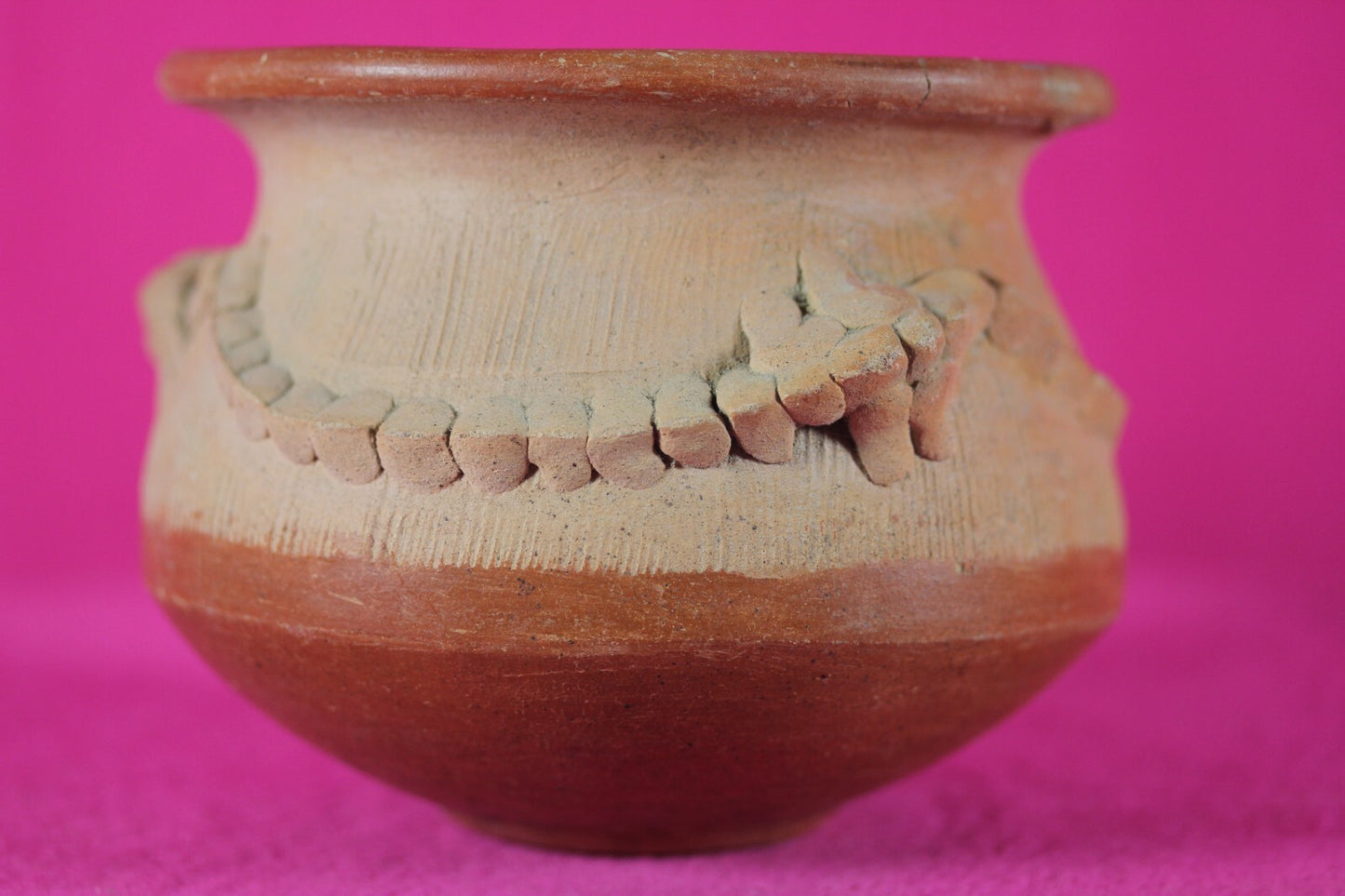 Authentic Pre Columbian Artifact Lizard Jar Chorotega Ex Arte Primitivo COA T120