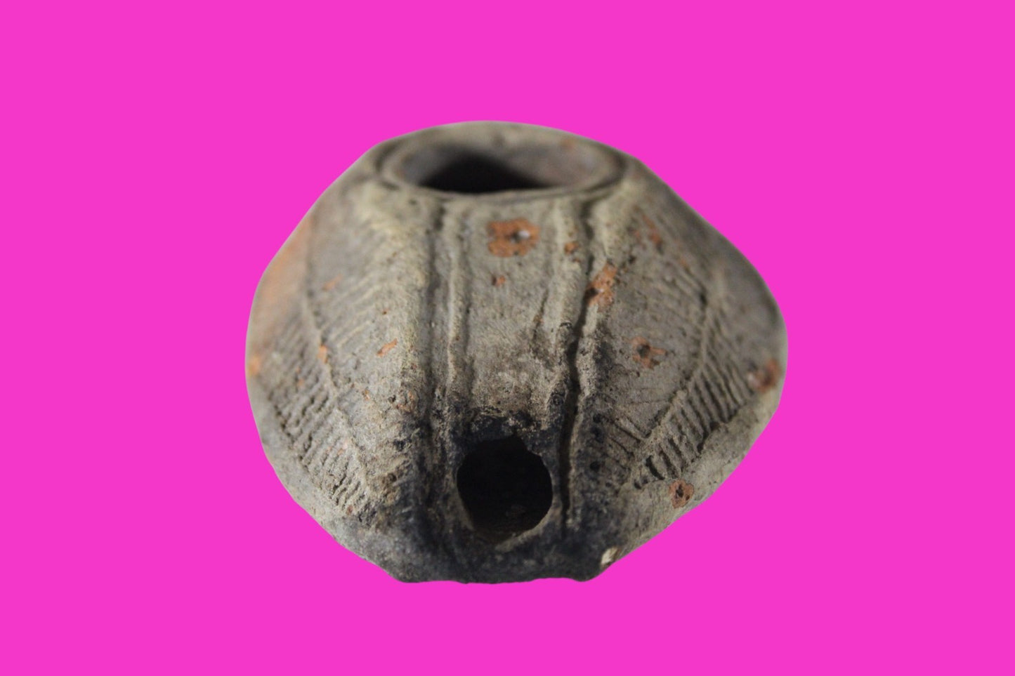 Ancient Holy Land Oil Lamp Artifact Jesus Christ Home Israel 300-600 AD COA 72