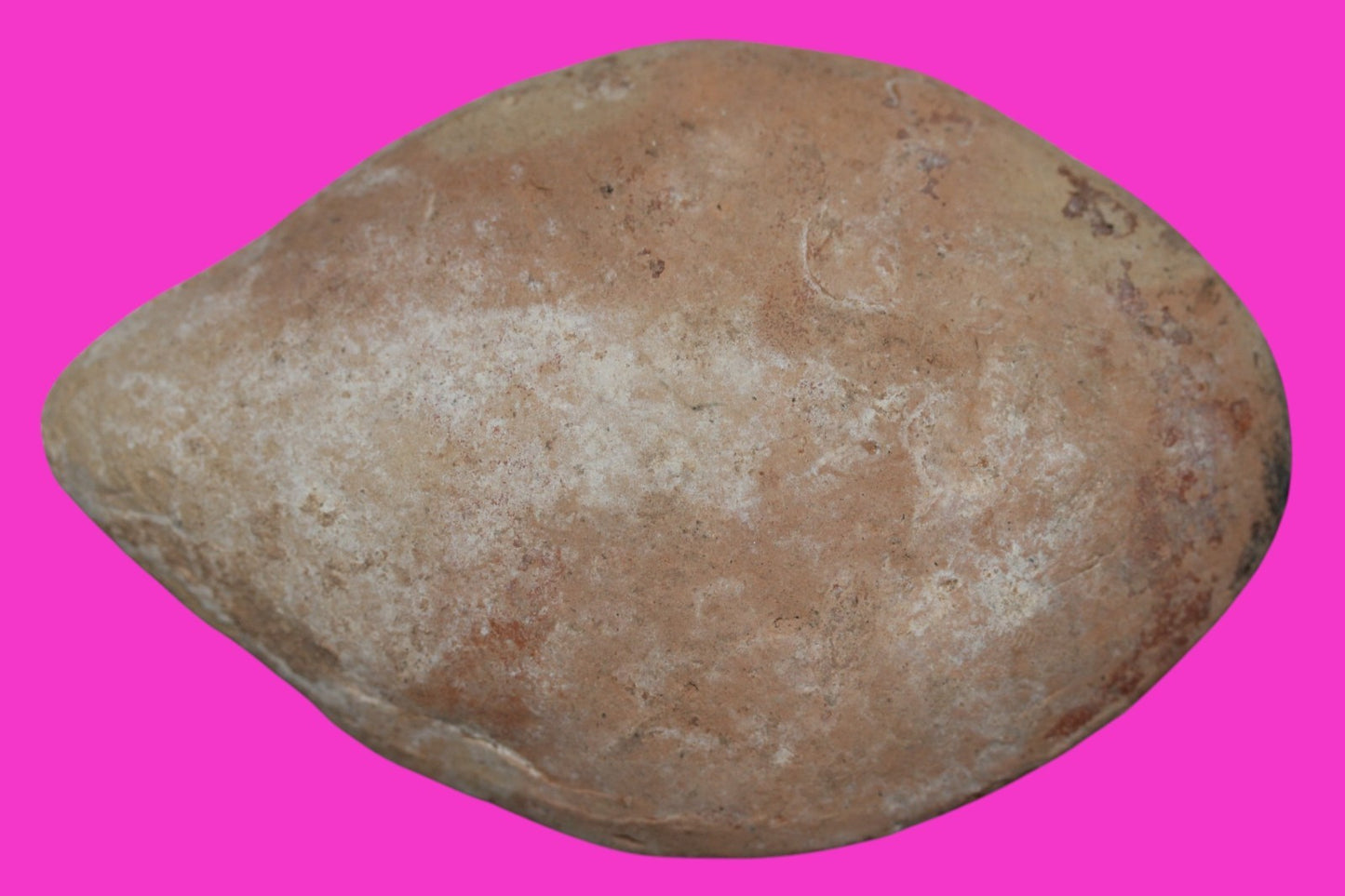 Ancient Holy Land Oil Lamp Artifact Jesus Christ Homeland 100-400 AD COA J106