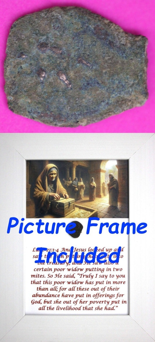 Widows Mite Coin Holy Land Artifact Jesus Christ Lifetime Display Frame COA 331