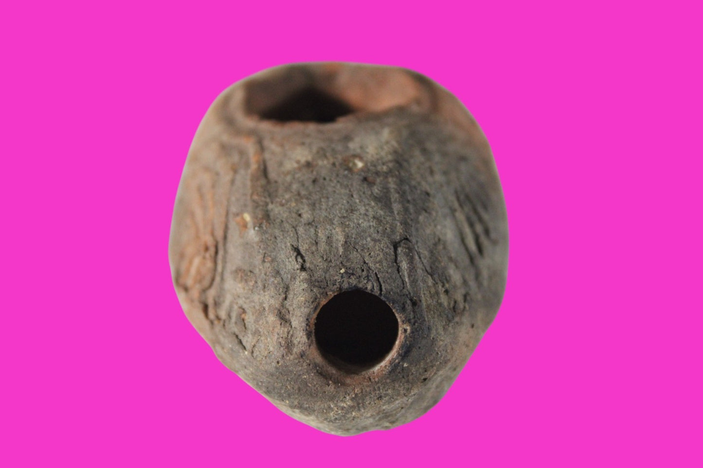 Ancient Holy Land Oil Lamp Artifact Jesus Christ Home Israel 300-600 AD COA 69