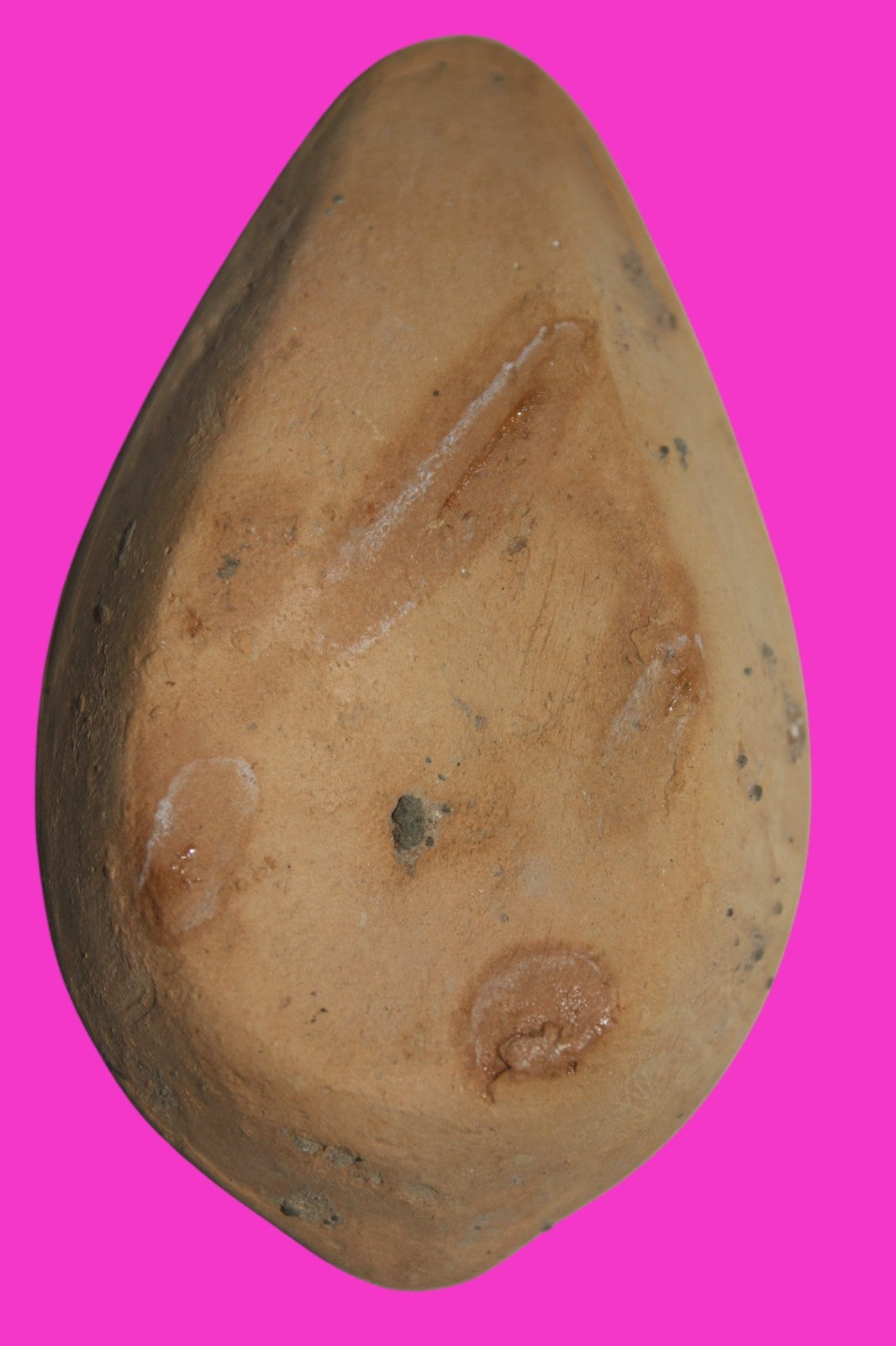 Ancient Holy Land Oil Lamp Artifact From Jesus Christ Homeland 400-500AD COA 32